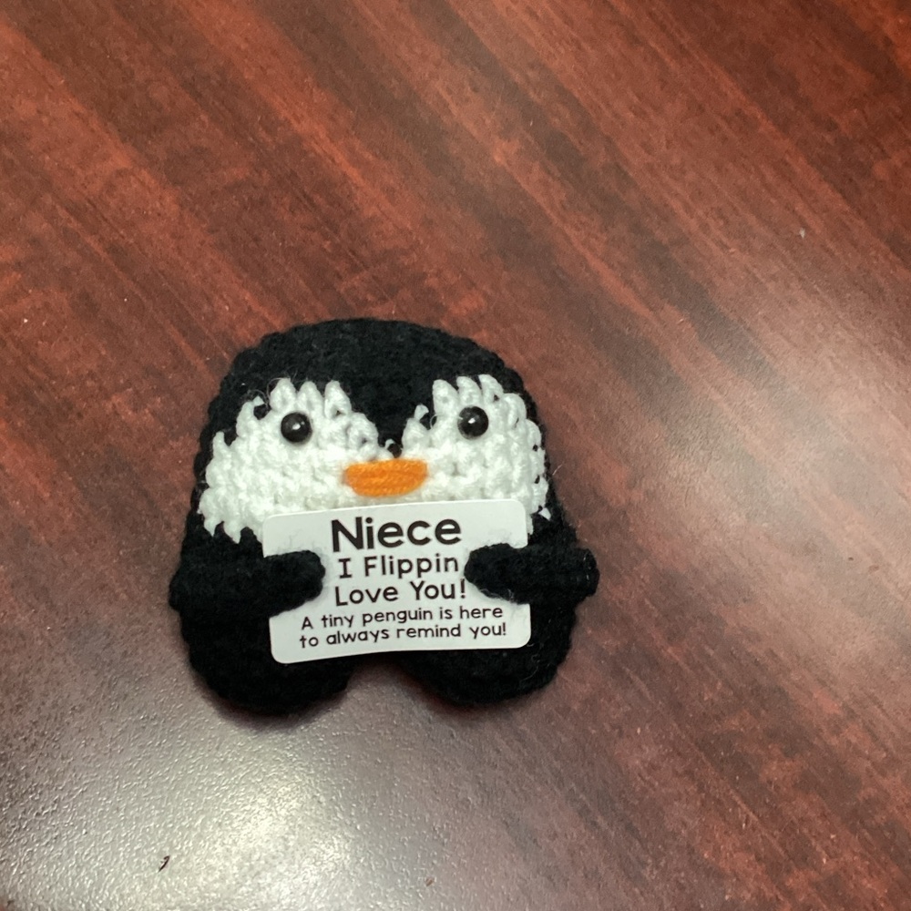 Cute Penguin Plush with Message